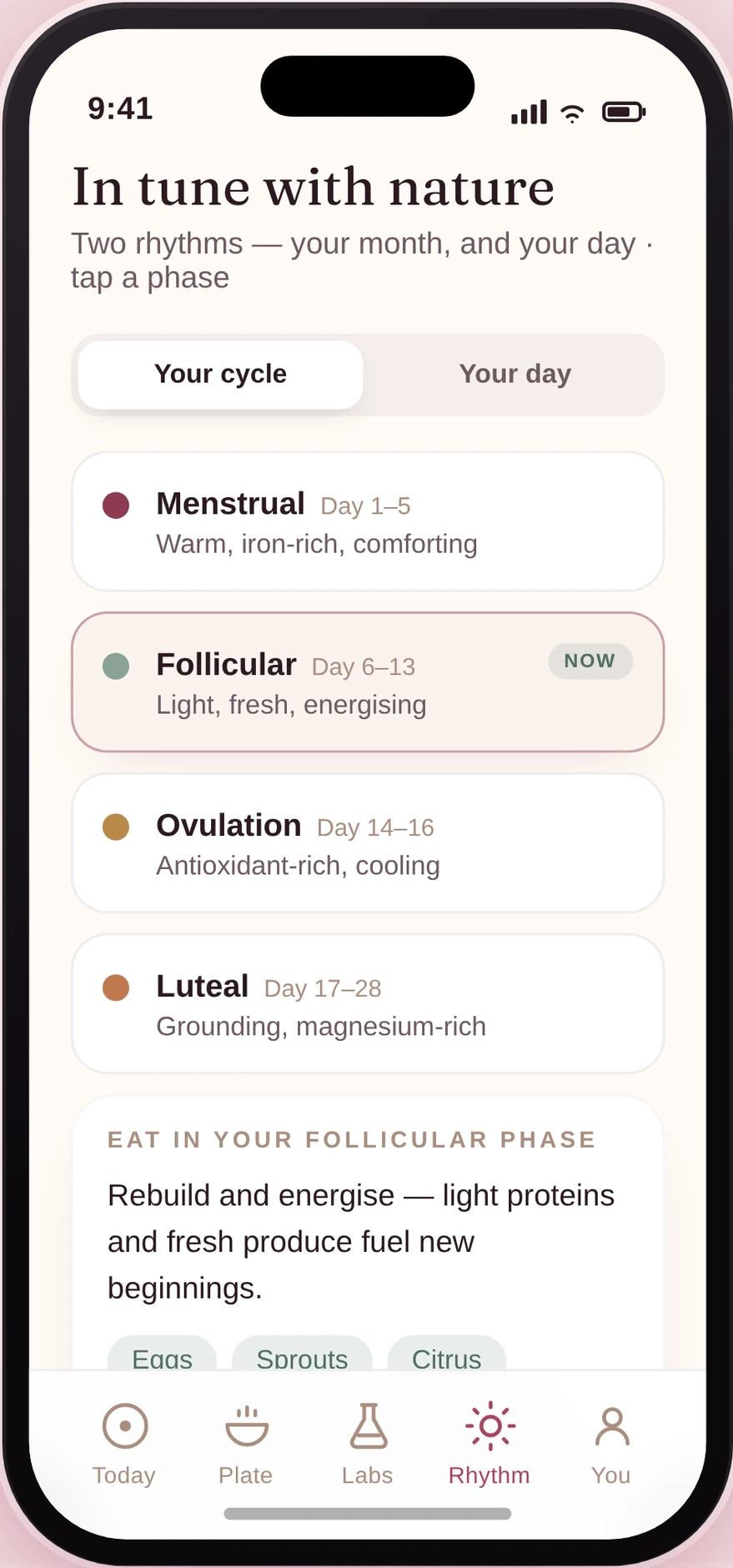 She Nourishes: eating with your cycle, phase by phase.